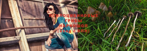 тгк Алзамай