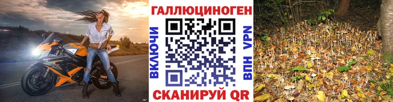 Псилоцибиновые грибы ЛСД  хочу   Усть-Лабинск 